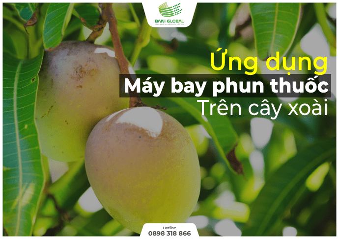 may-bay-phun-thuoc-baniglobal